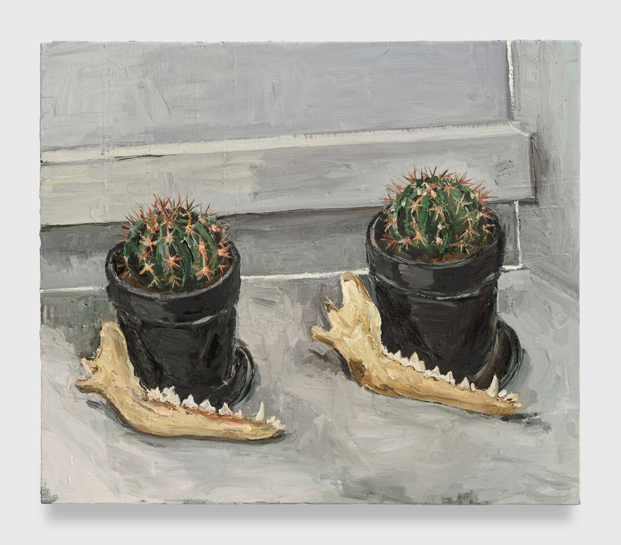 A painting depicting two cacti in black pots that are very slightly staggered. The lower mandible of an animal leans against each pot in identical orientation creating even more symmetry between the potted plants.