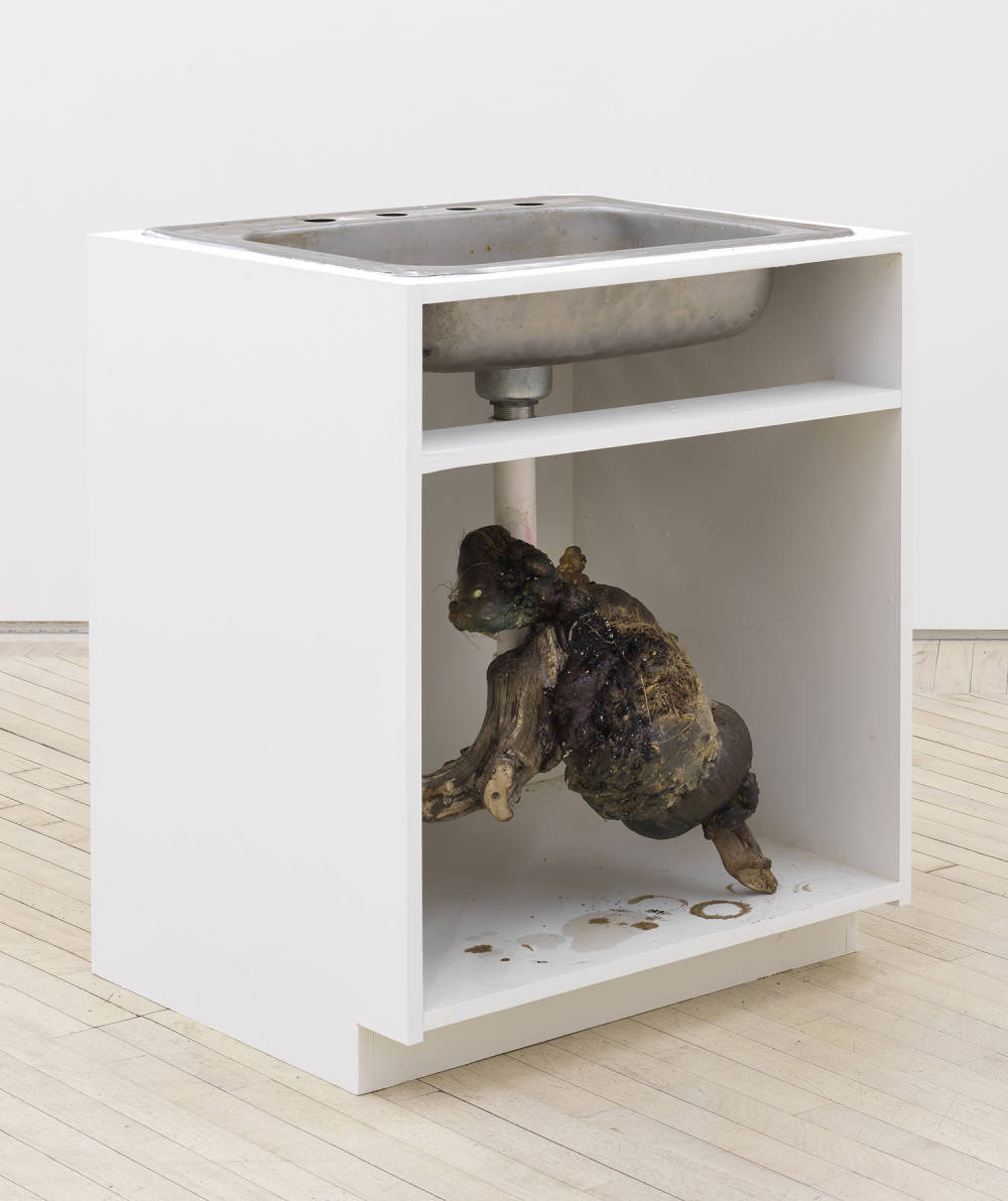 Image of a sculpture by Brandon Ndife showing a sink basin recessed into a hand built cabinet, the cabinet is painted white and open on the front side showing a vegetal growth attached to the sink's drain pipe.