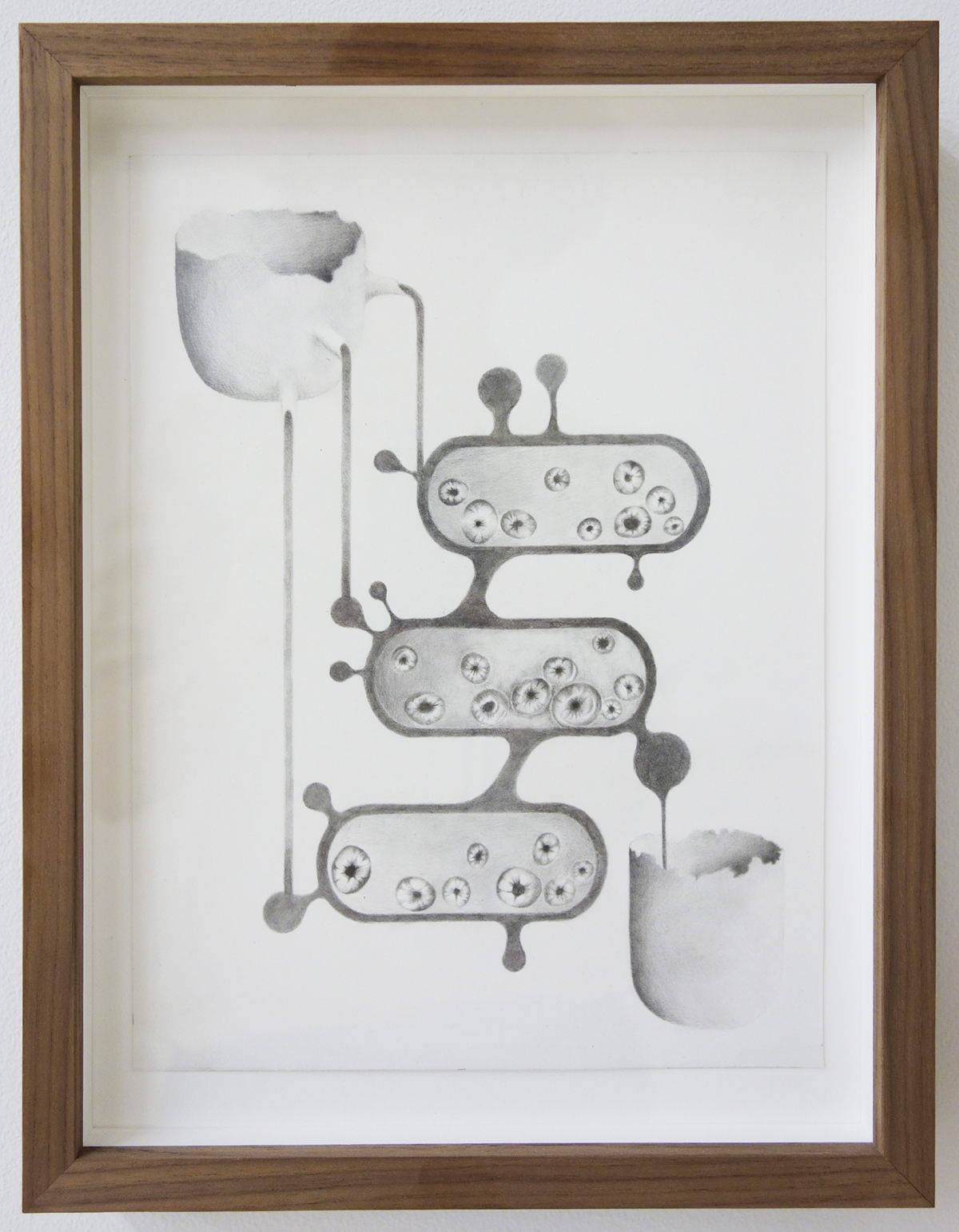 small graphite drawing framed in brown wood. the drawing is surreal and shows an egg-shell like vessel at top left, with spouts pouring out its right side into three modular cell-like forms - the middle one drains into another cup at the bottom right.