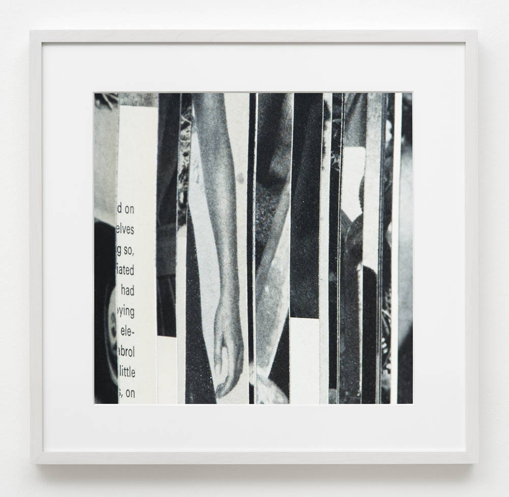 Image of a framed photograph by Erica Baum showing a black and white picture of an arm with vertical stripes of book pages interspersed.