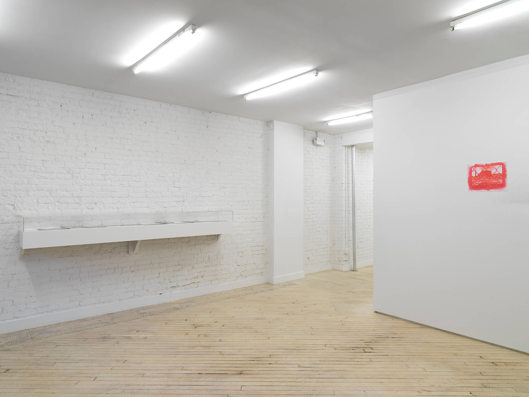 In a gallery space, to the left a white vitrine with a glass bonnet, to the right a small photograph printed in red ink on fabric pinned directly to the wall.