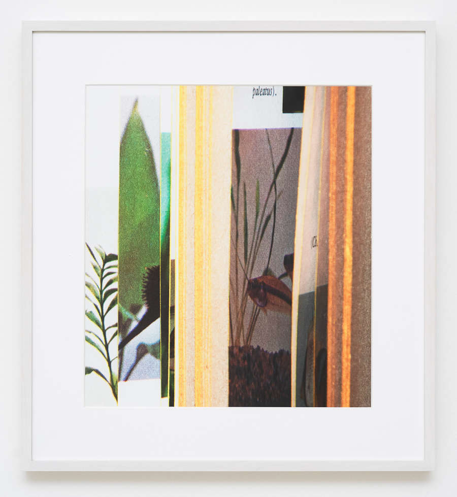 Photograph peering into an open book with the edges of the book's paper creating thin vertical strips resulting in an abstracted image of color and shape. Visible are cropped images of green plant foliage. All other strips are fairly unrecognizable. The dominant color in the image is orange with the exception of the green plants.