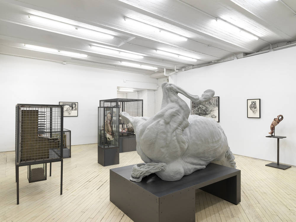 A gallery space filled with many large metal sculptures resembling cages. In the center is a sculpture of a fallen horse. The walls are lined with framed graphite drawings. 
