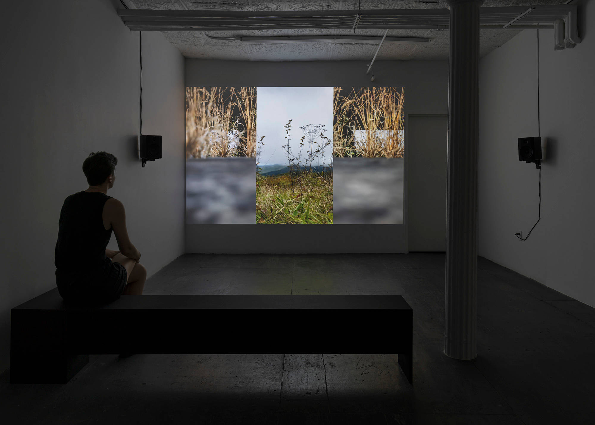 In a dark room, a projector displays a scene from the film "MERCY". The scene if of a plant blowing in the wind in a field of grass. There are two black benches in the shape of an "L" on the floor of the room. A viewer is sitting on the bench. Two speakers hang on opposite walls to the left and right of the screen with cords running up to the ceiling.