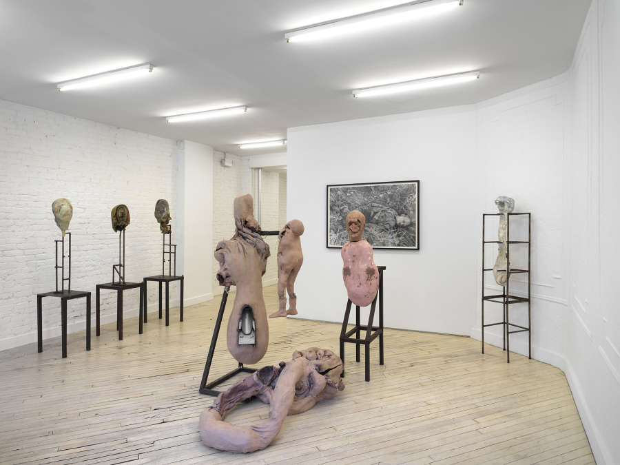 Several floor standing sculptures resembling mutilated human body parts on top of steel bases. On the back wall a graphite drawing in a black frame. 