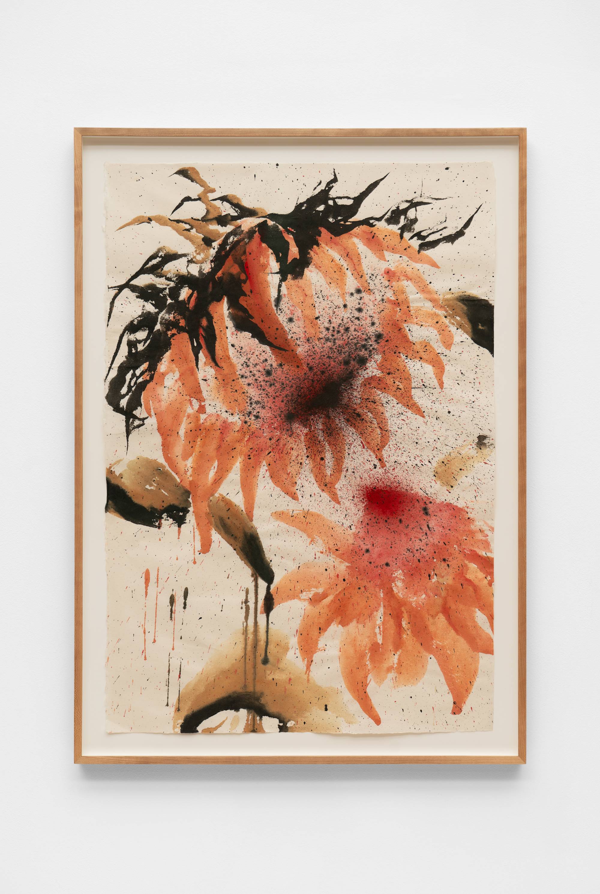 An ink painting on off-white paper, depicting two orange sunflowers: one at the top of the composition, bending towards a smaller flower in the bottom right of the composition. The head of the larger flower is surrounded by black leaves, and it has a black and red center. The smaller flower has a red center. In the interstices between the two flowers there are brown and black leaves. The frame and the wall the work is mounted on is visible in the shot.