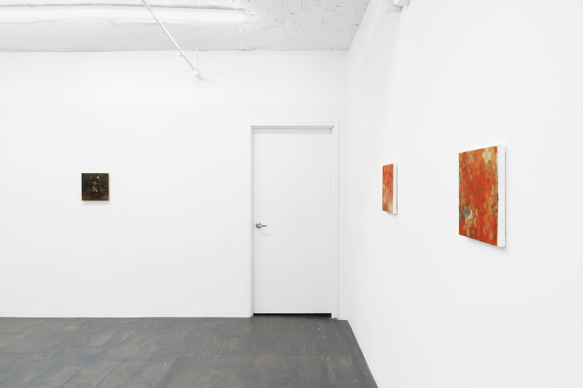 Five small abstract paintings of flowers featuring various colors spaced evenly throughout a brightly lit gallery space.