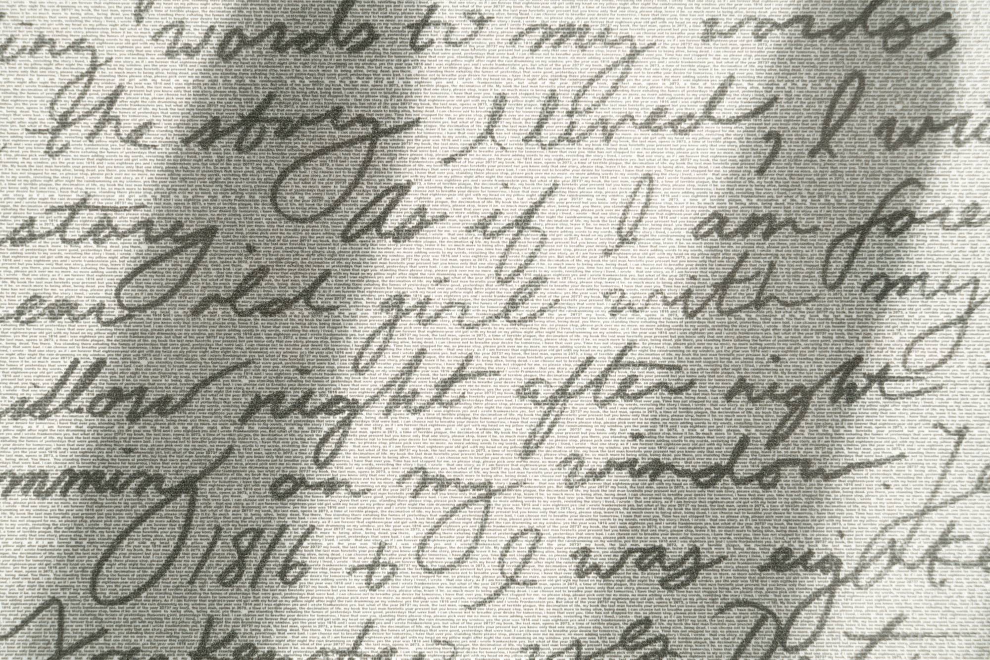 A detail of the text laid over the image of a shadow of a hand depicted in Constance DeJong's 'Mary Shelley and Nikola Tesla Lament'.