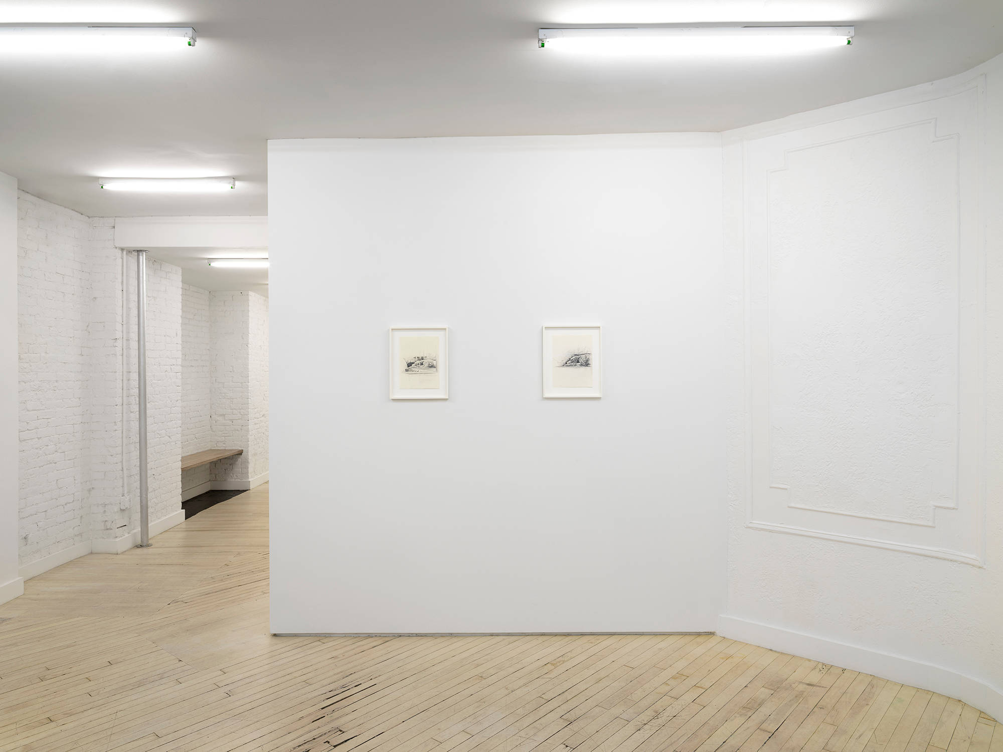 Installation view of two framed drawings hung on a gallery wall. The drawings depict two stone dog sculptures in a cemetery.