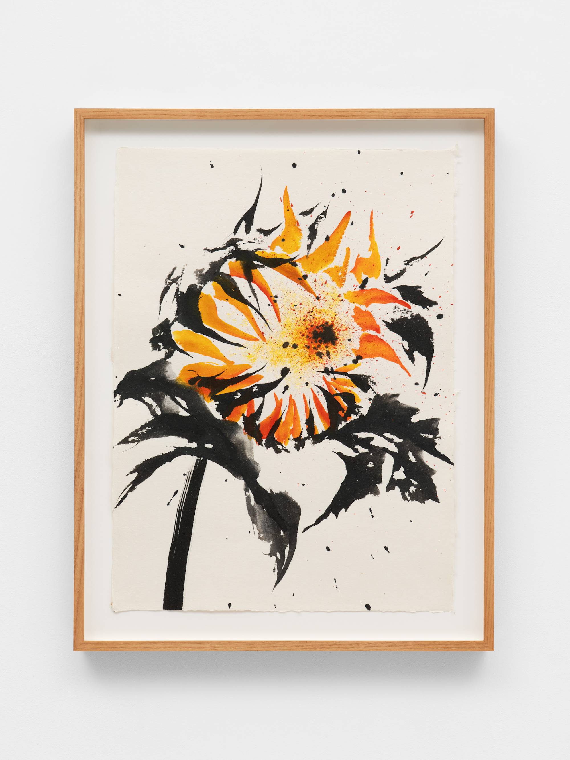 An ink painting on white paper of the head of an orange sunflower surrounded by black leaves and a stem. The center of the sunflower is executed in yellow, red, and dark brown splatters. The frame and the wall the work is mounted on is visible in the shot.