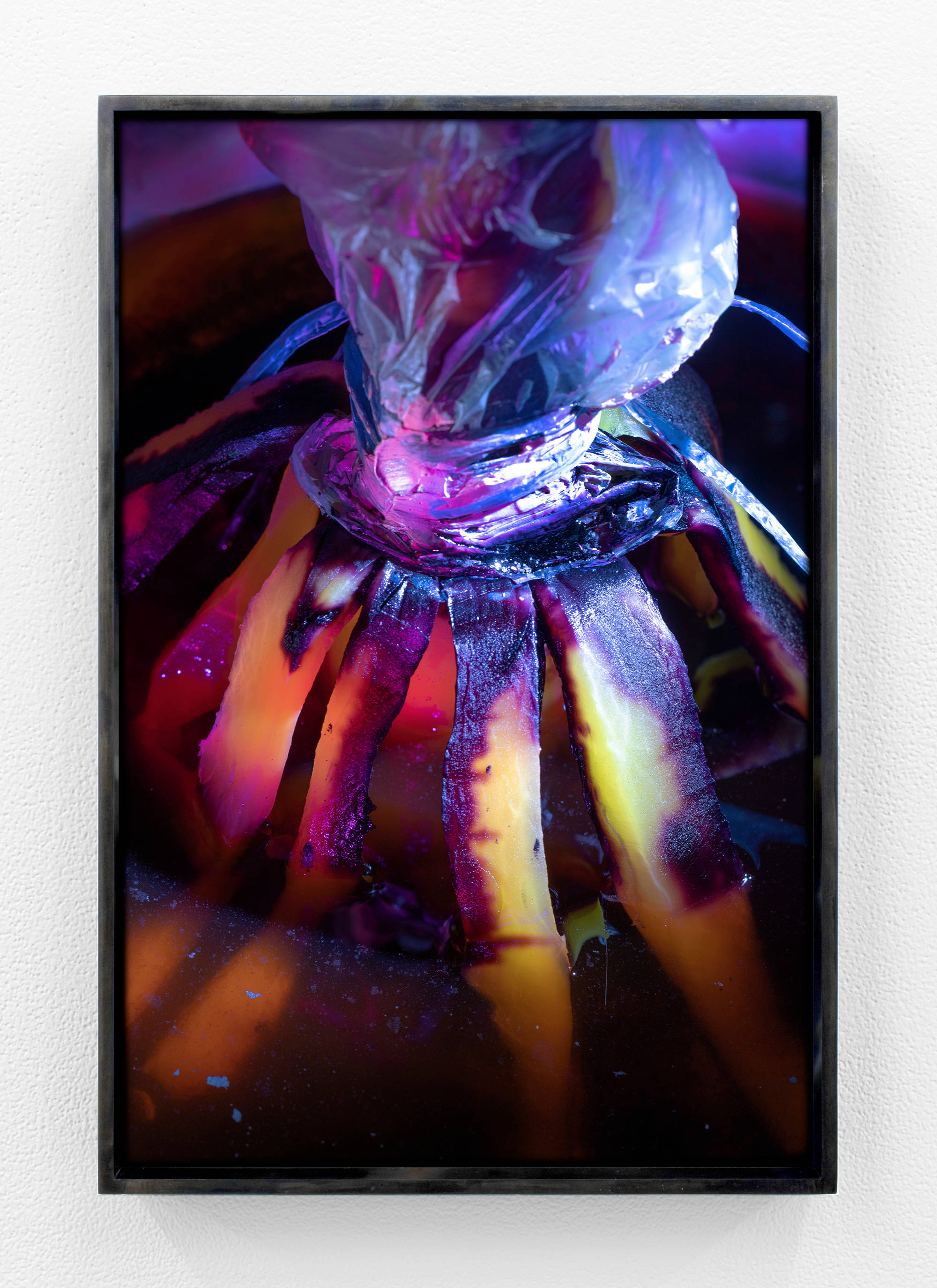 Strips of an orange and purple carrot form a conical base that is partially submerged in liquid at the bottom of the image. The tip of the cone is bound with tape and plastic.