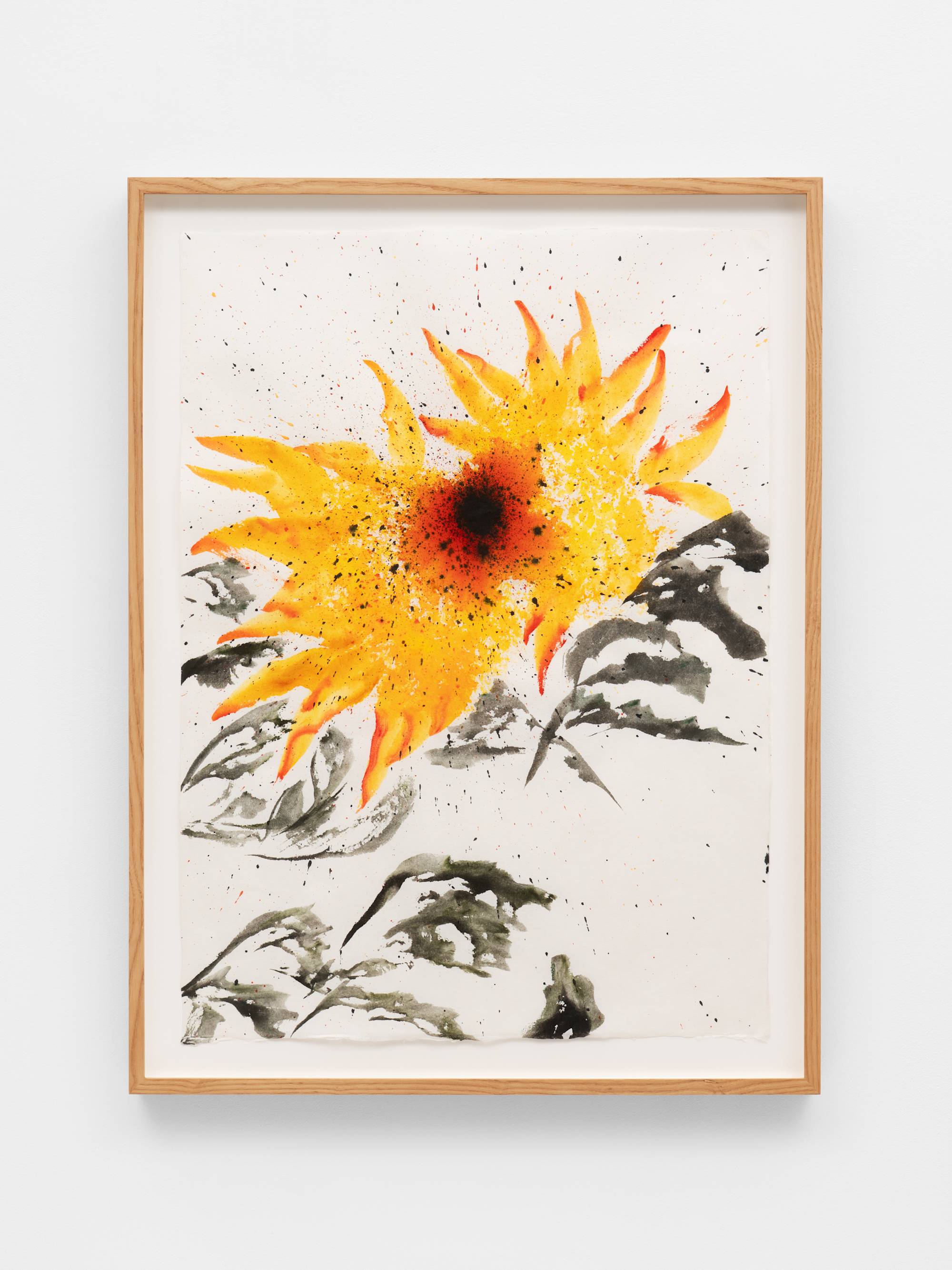 An ink painting on white paper, depicting two yellow-orange sunflowers with and black leaves. A dark orange and brown center unites the two sunflowers. The two sunflowers are centered and the leaves take up the bottom half of the composition. Light speckles/dots of black ink are present throughout the composition. The frame and the wall the work is mounted on is visible in the shot.