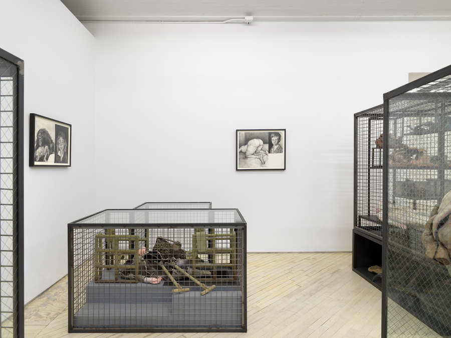 A gallery space filled with many large iron sculptures resembling cages. The walls are lined with framed graphite drawings of animals and humans.
