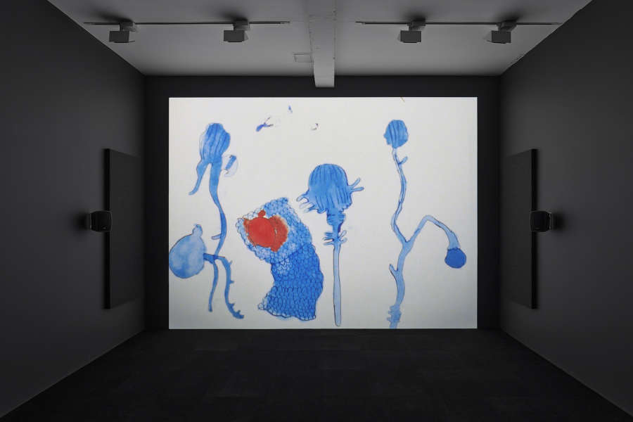 A film is projected in a dark room, the screen white showing an ink drawing of blue poppy plants in a field.