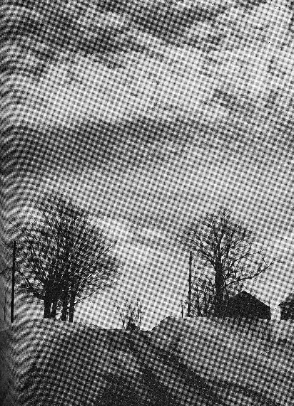 A black and white image of a country road with barren trees on either side of the road and a couple of barns in the distance on the right hand side. There are light clouds in the sky. 