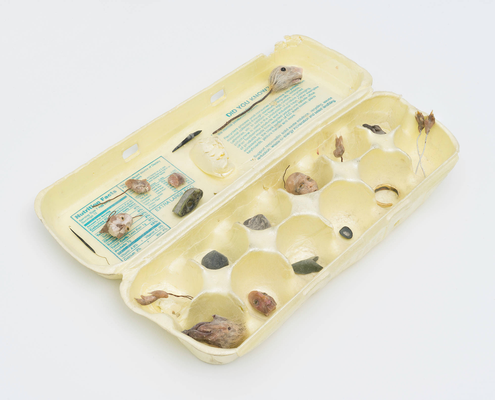 An antique yellow styrofoam egg carton contains various parts of models by artist Matt Hoyt. The models depict rodents and human figures.