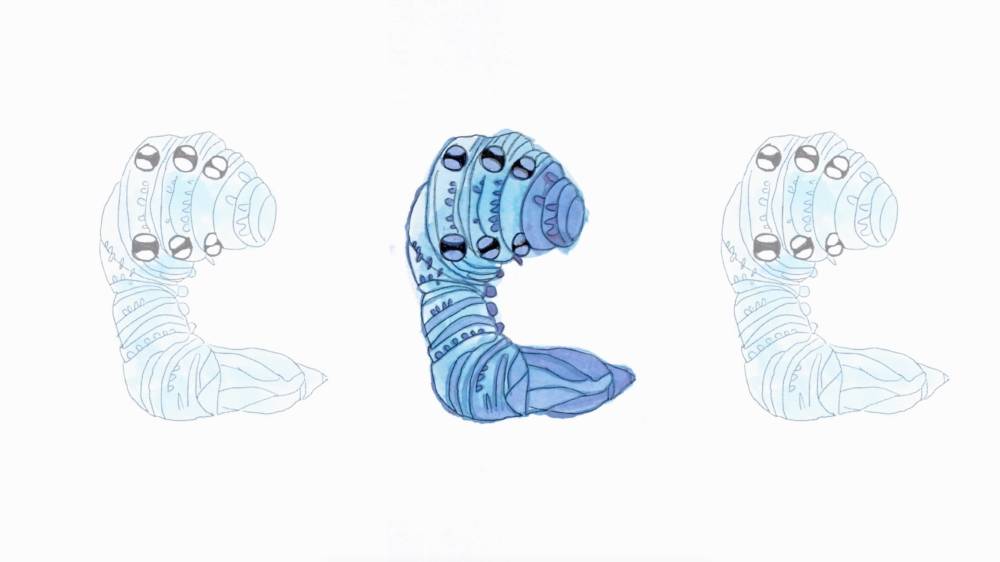 Still image from the animated film Breathe In, Breathe Out showing an ink drawing of three blue larvae 