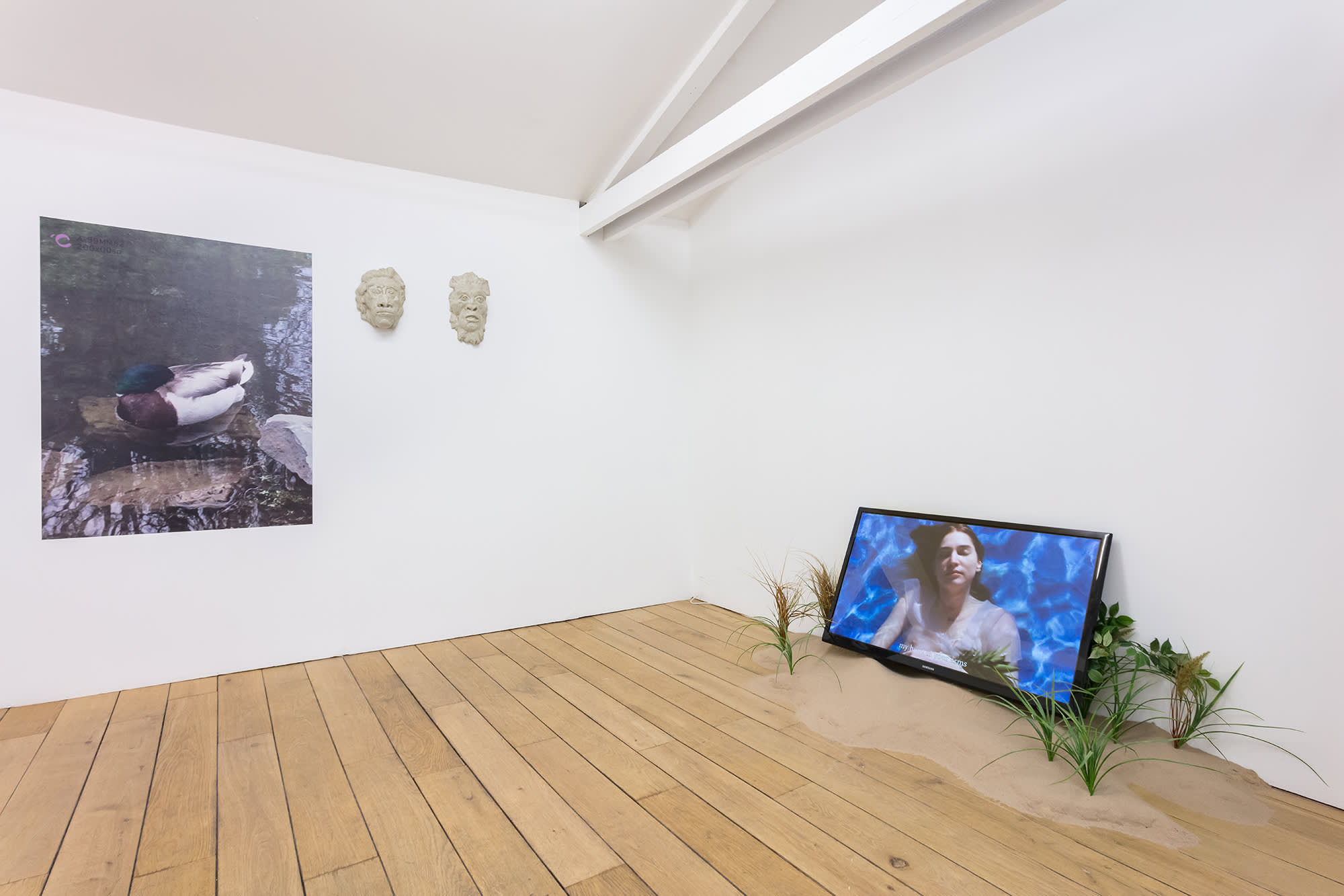Installation view of a gallery with a blonde wood floor and a slanted ceiling. At left is a color photograph of a duck on the side of a pond and next to it are two cast masks of humanoid man. To the right is a video screen showing a woman in a blue pool of water. The video screen is installed leaning on the floor and wall in a pile of sand surrounded by scant dune grass.