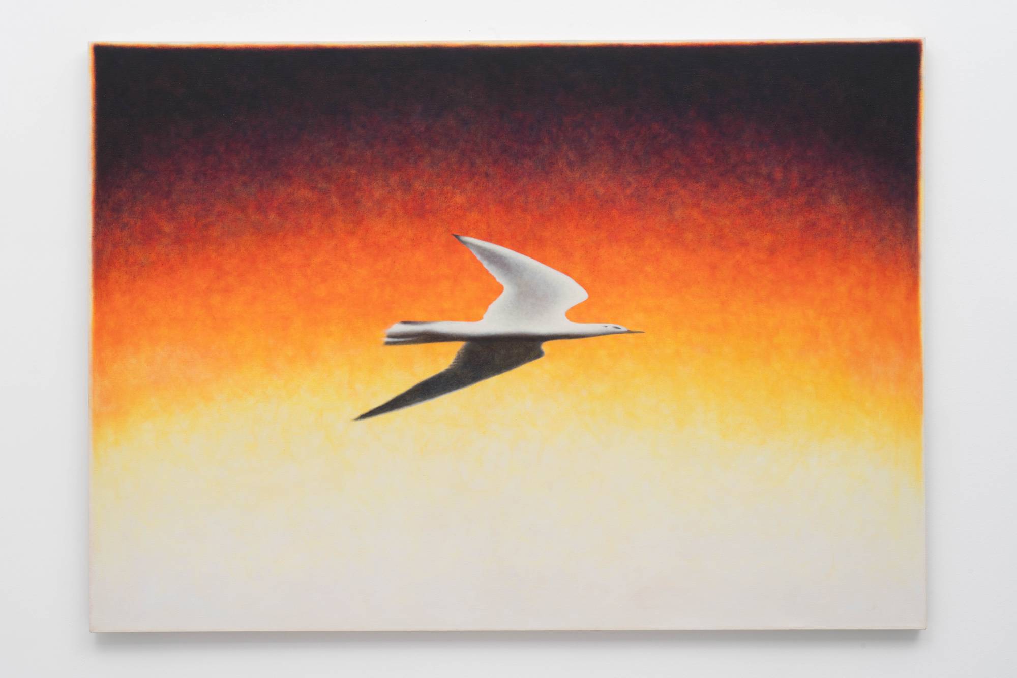 Ian Miyamura painting depicting a stretched seagull flying to the right against an orange gradient stippled background.