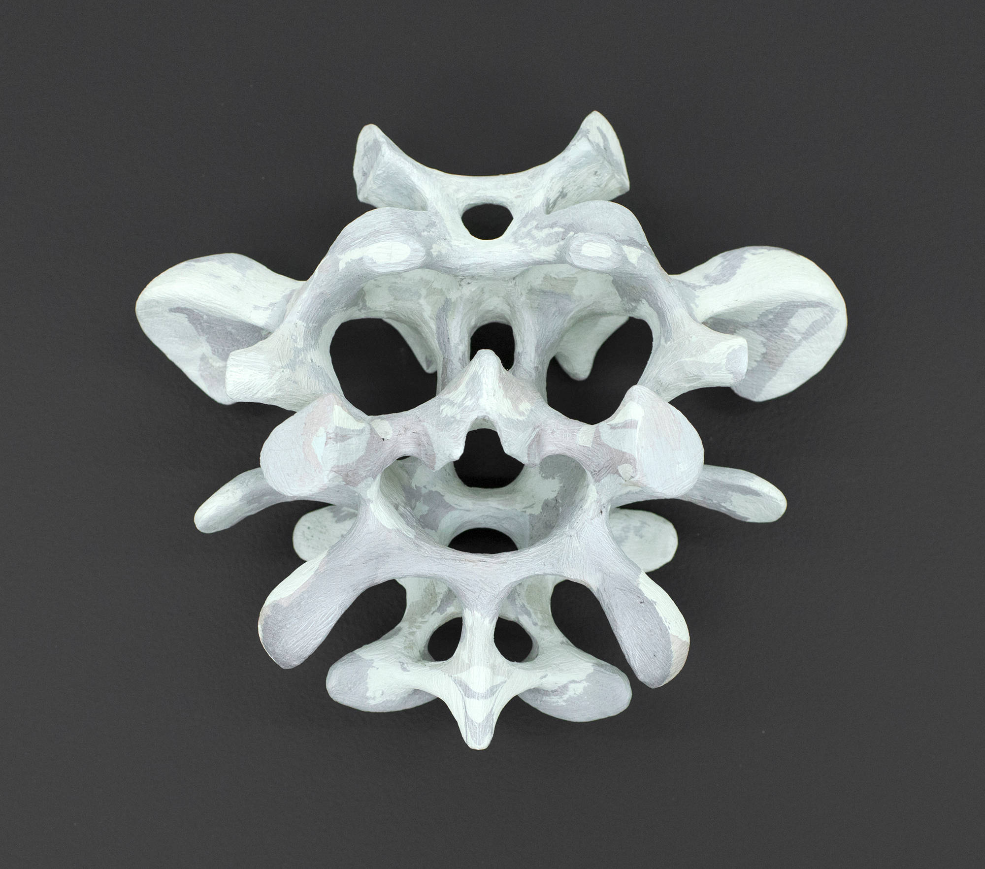 Overhead view of a sculpture by Matt Hoyt on a black surface that appears to reference a pelvic bone.