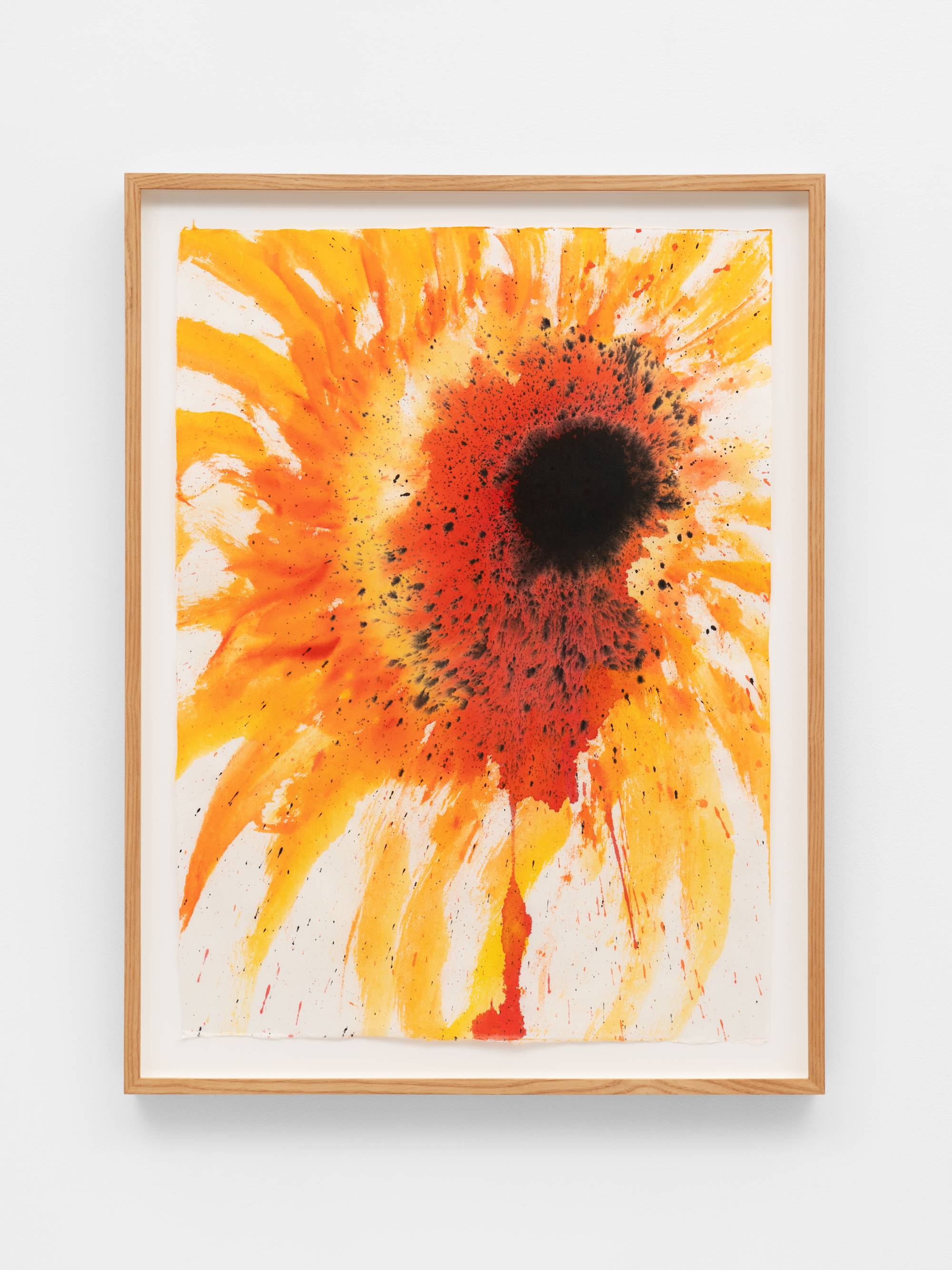 An ink painting on white paper of a sunflower with yellow-orange petals and a red and black center. Black splatters of ink emanate from the center of the sunflower. The frame and the wall the work is mounted on is visible in the shot.
