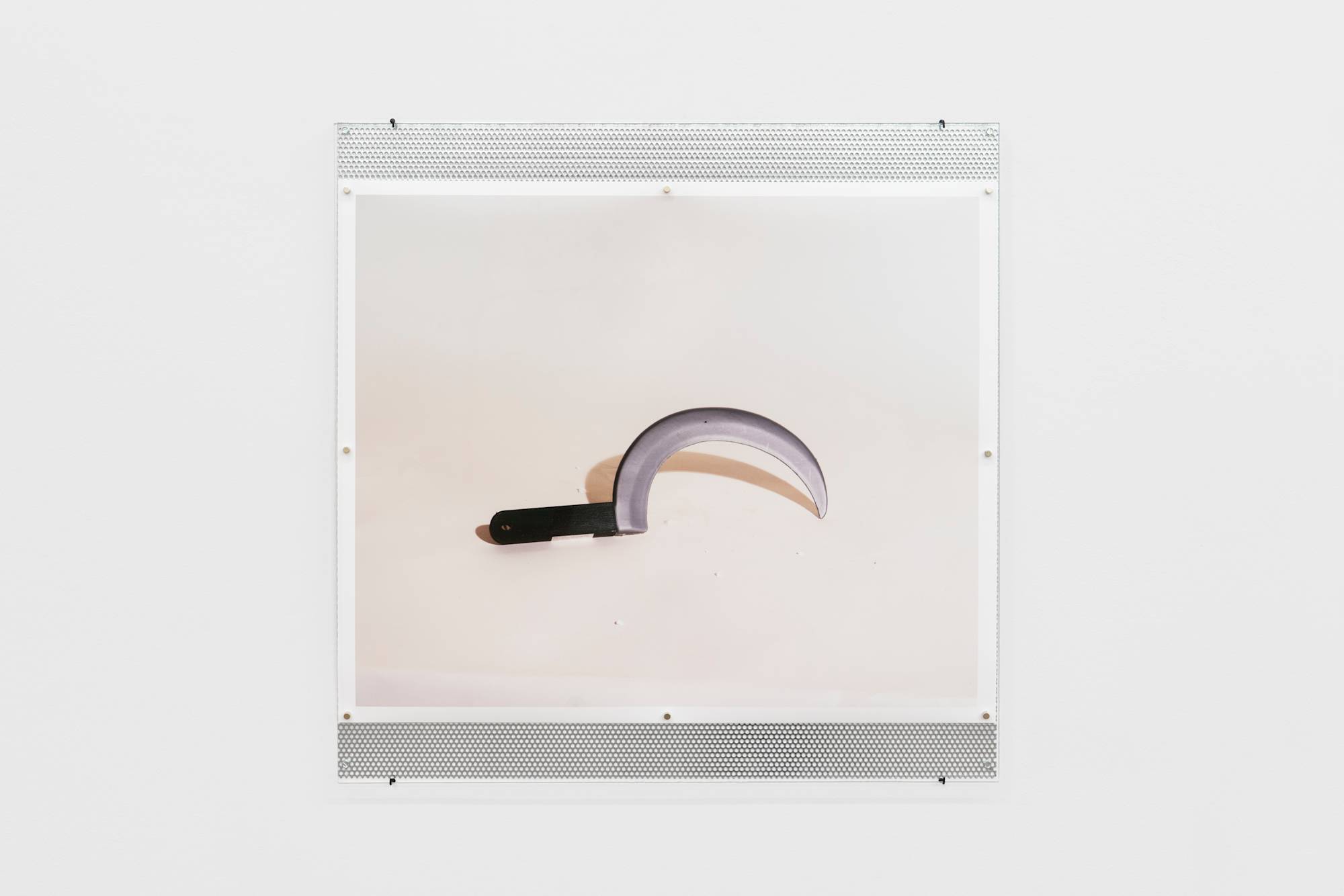 A photograph depicting a sickle resting a top of a white ground surface. The photograph is behind a piece of glass pinned to a piece of metal.