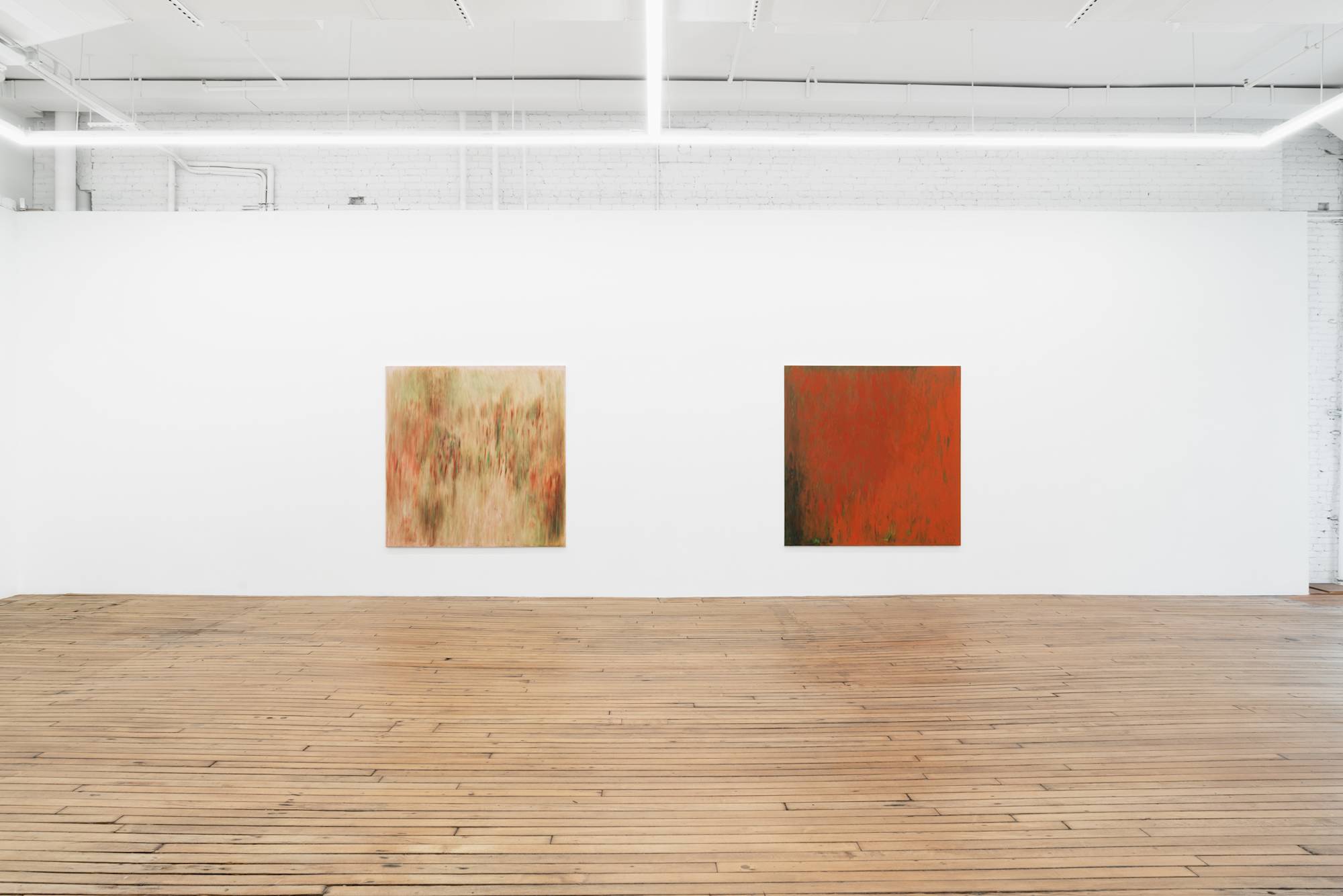 Two large square abstract paintings installed close to each other on a long gallery wall.