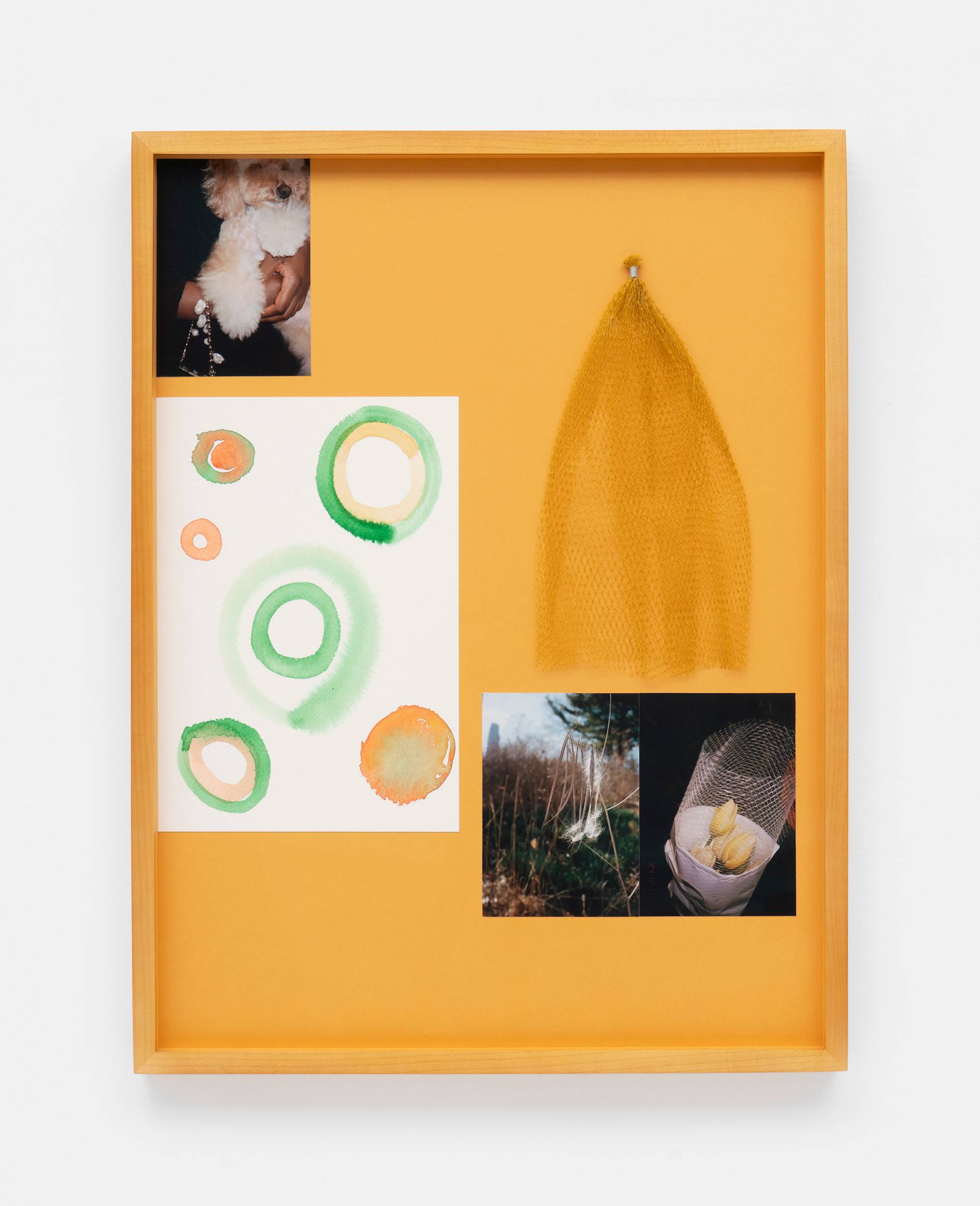 In a wood frame, a series of small photographs and mementos are arranged together.