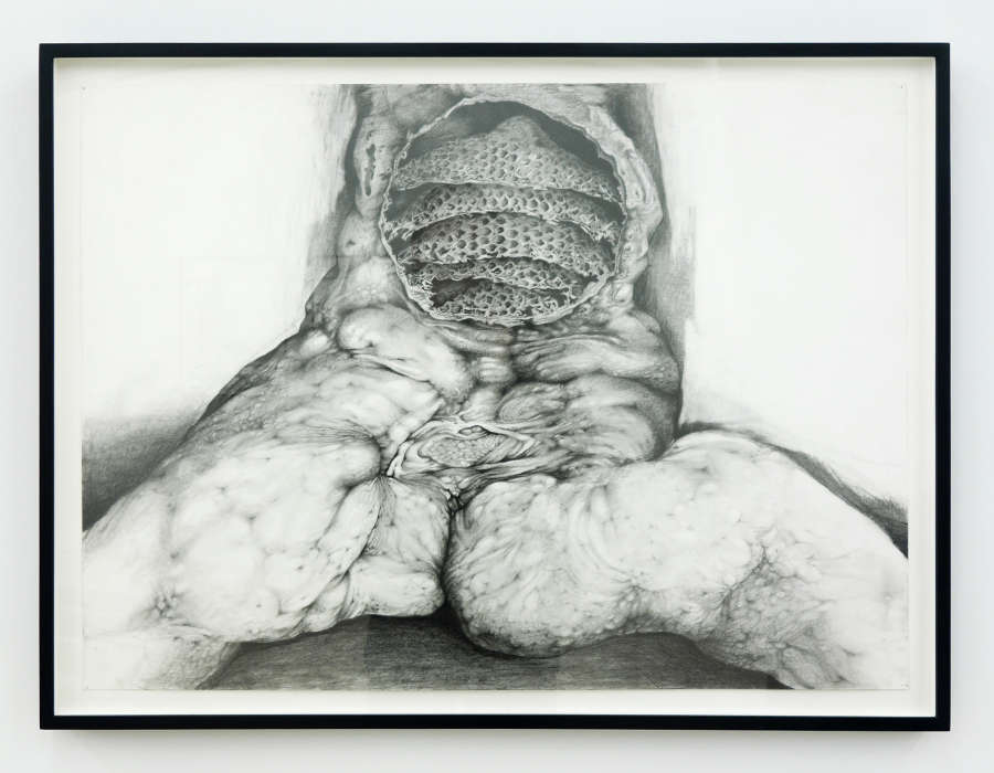 Graphite drawing of a torso with torn open with a beehive inside of it, legs splayed open.