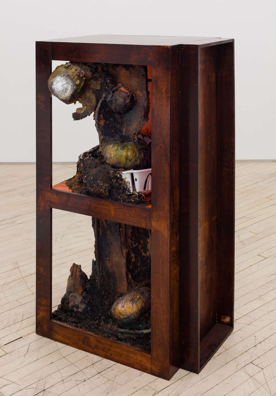 Image of a sculpture by Brandon Ndife. Freestanding in a gallery is what appears to be a piece of furniture, like a shelf or TV console, stained brown with an orange painted interior, with dirt, debris and contained growth on the inside of the furniture. What looks to be gourds are "growing" on a central trunk inside of the artwork.