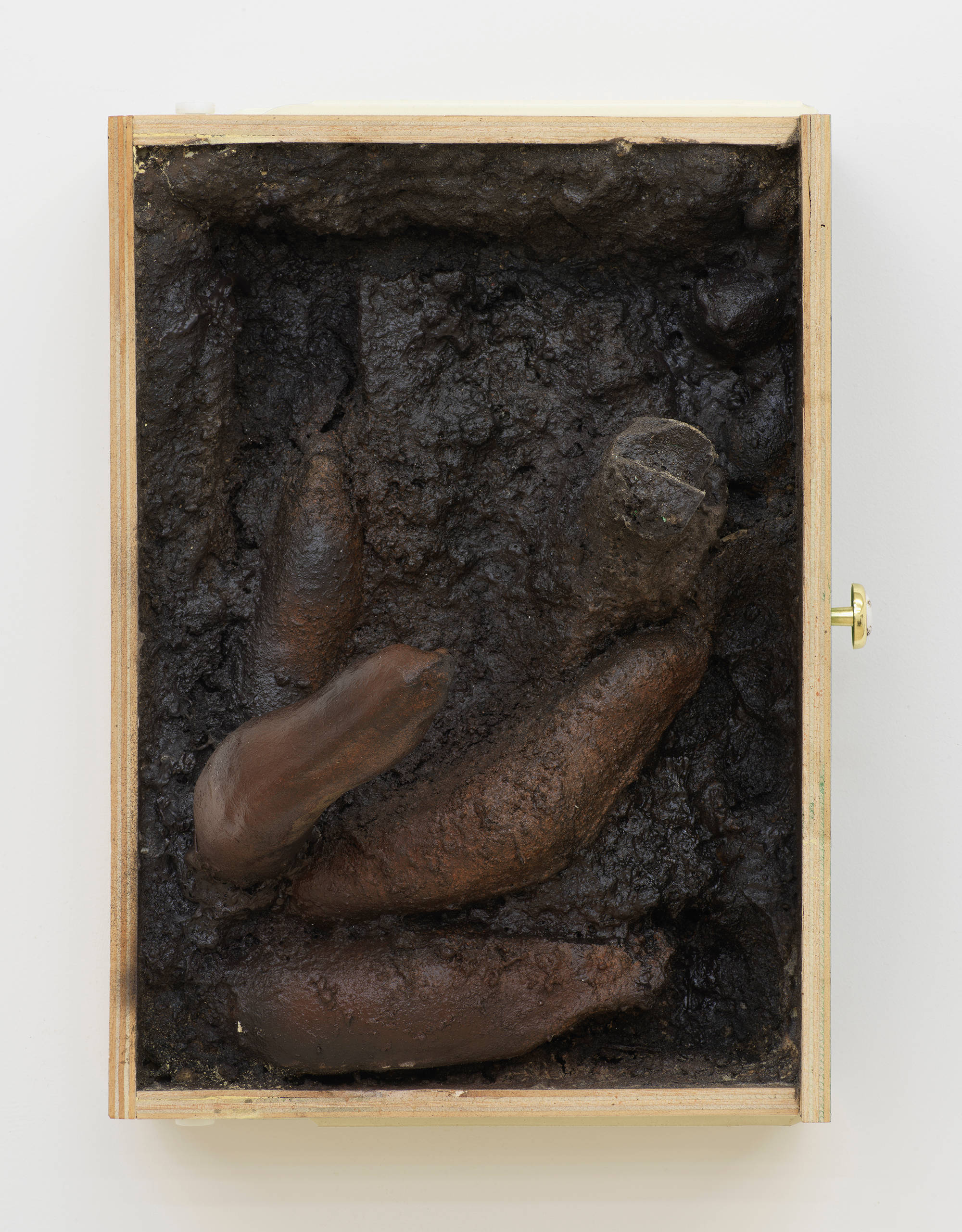 On a white wall, a wall sculpture depicts a bird's-eye view inside a wooden cabinet drawer. Inside is a mixture of cast forms protruding out from the drawer. The inside is painted a dark brown resembling organic material.