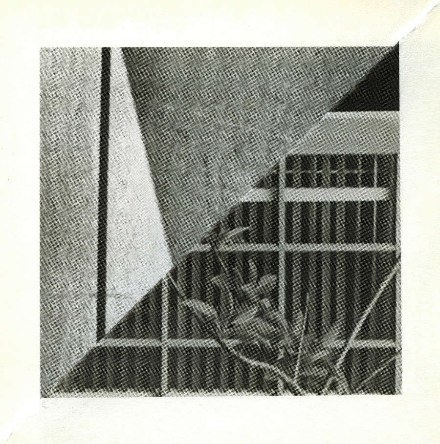 Image of the folded corner of the yellowed pages of a book, with a central square made up of two black and white images creating two triangles due to the folding of the paper. It is unclear what the top triangle is depicting but the bottom triangle shows a tree branch with leaves in front of a window.
