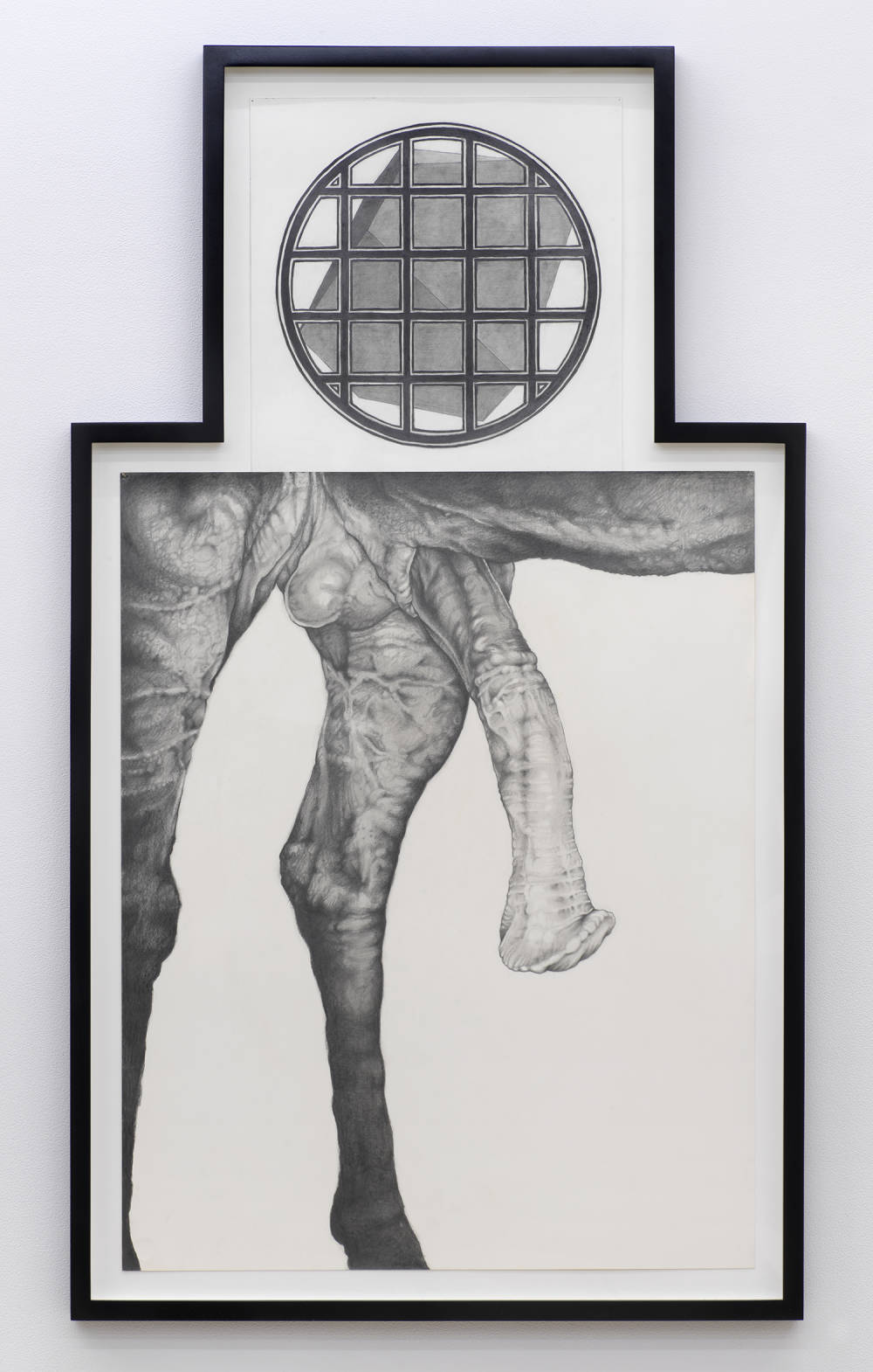 On a gallery wall a graphite drawing depicting a close-up of horse genitals. Drawn above is circular form containing a gridded, bar-like pattern in front of a cube in an irregularly shaped black frame. 