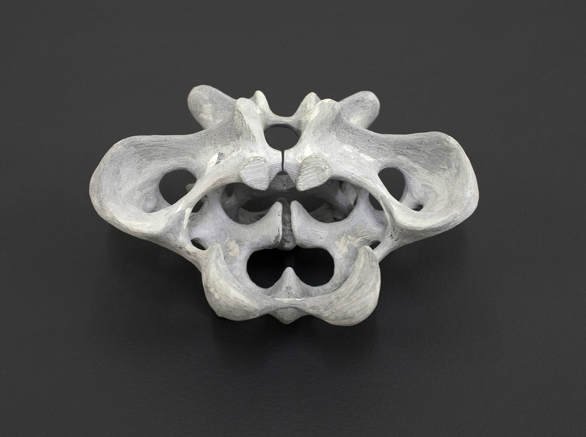 On a black surface, an abstract sculpture in gray resembling a bone form.