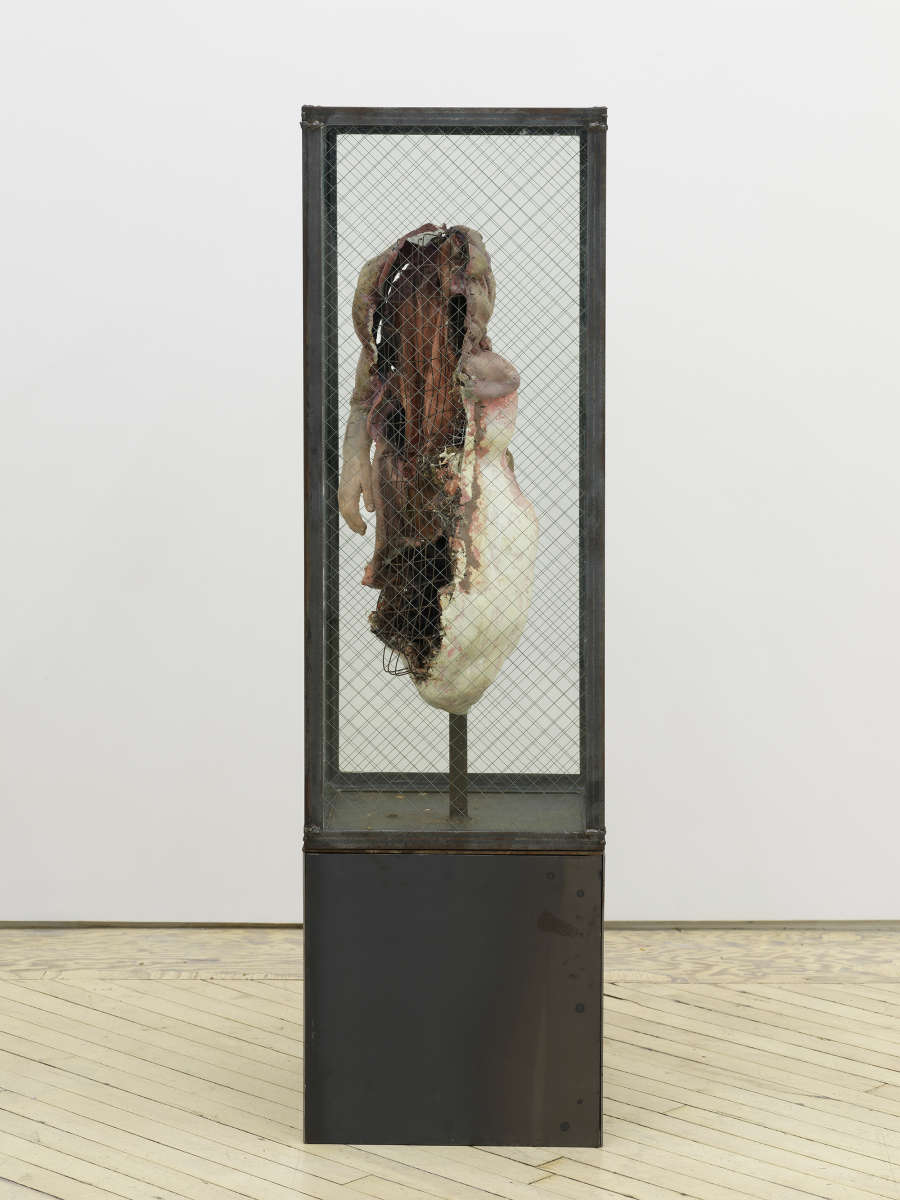 A standing steel sculpture resembling a cage containing an abstract form resembling human flesh.