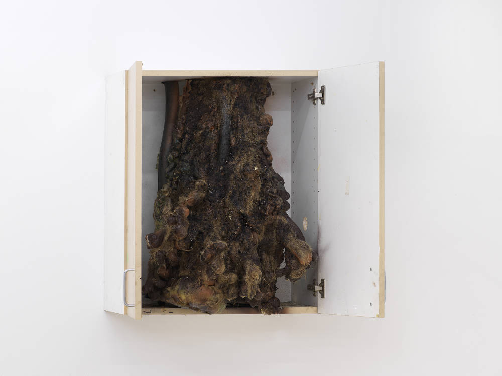 Image of a sculpture by Brandon Ndife showing a white painted open cabinet hanging on the wall with its doors open. Inside of the cabinet is a tree trunk like growth covered in dirt with many appendages.