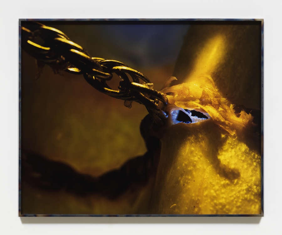 A framed photograph resembling a knot of chains rendered in a range of yellow and blue colors. 
