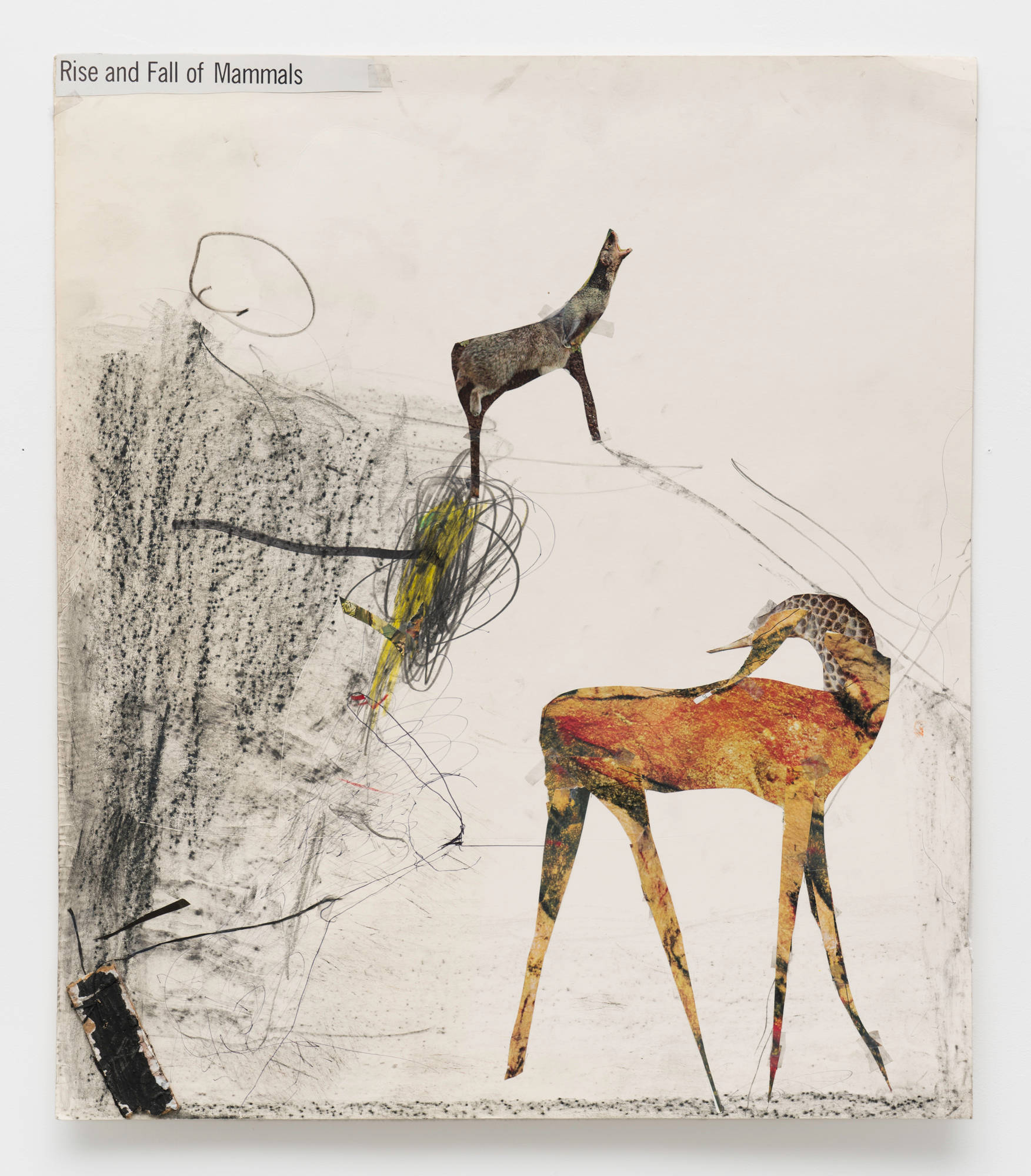 An abstract collage depicting 2 animals cut from magazine photos mounted to an off white sheet of construction paper. The phrase "Rise and Fall of Mammals" is visible in the upper left corner.