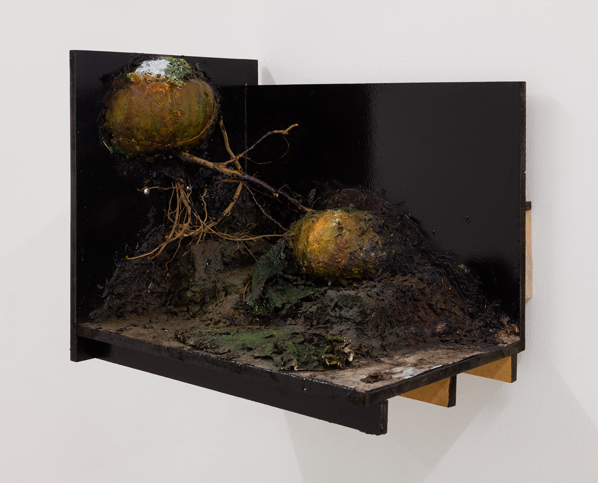 Image of a sculpture by Brandon Ndife. Hanging on a gallery wall is what appears to be a piece of furniture, like a filing cabinet drawer, painted black with dirt, debris and contained growth on the inside of it. What looks to be gourds are "growing" inside of the drawer and painted like decaying flesh. There are some twigs and plant roots as well.