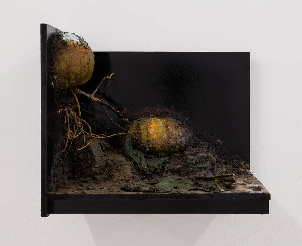 Image of a sculpture by Brandon Ndife. Hanging on a gallery wall is what appears to be a piece of furniture, like a filing cabinet drawer, painted black with dirt, debris and contained growth on the inside of  it. What looks to be gourds are "growing" inside of the drawer and painted like decaying flesh. There are some twigs and plant roots as well. 