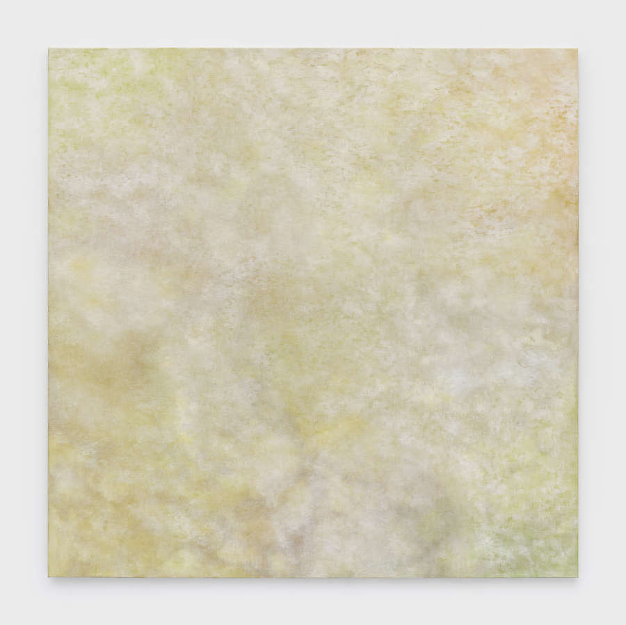Abstract oil on linen painting by Kate Spencer Stewart with a white/gray underpainting and pale yellow stipple-like application of paint on top.