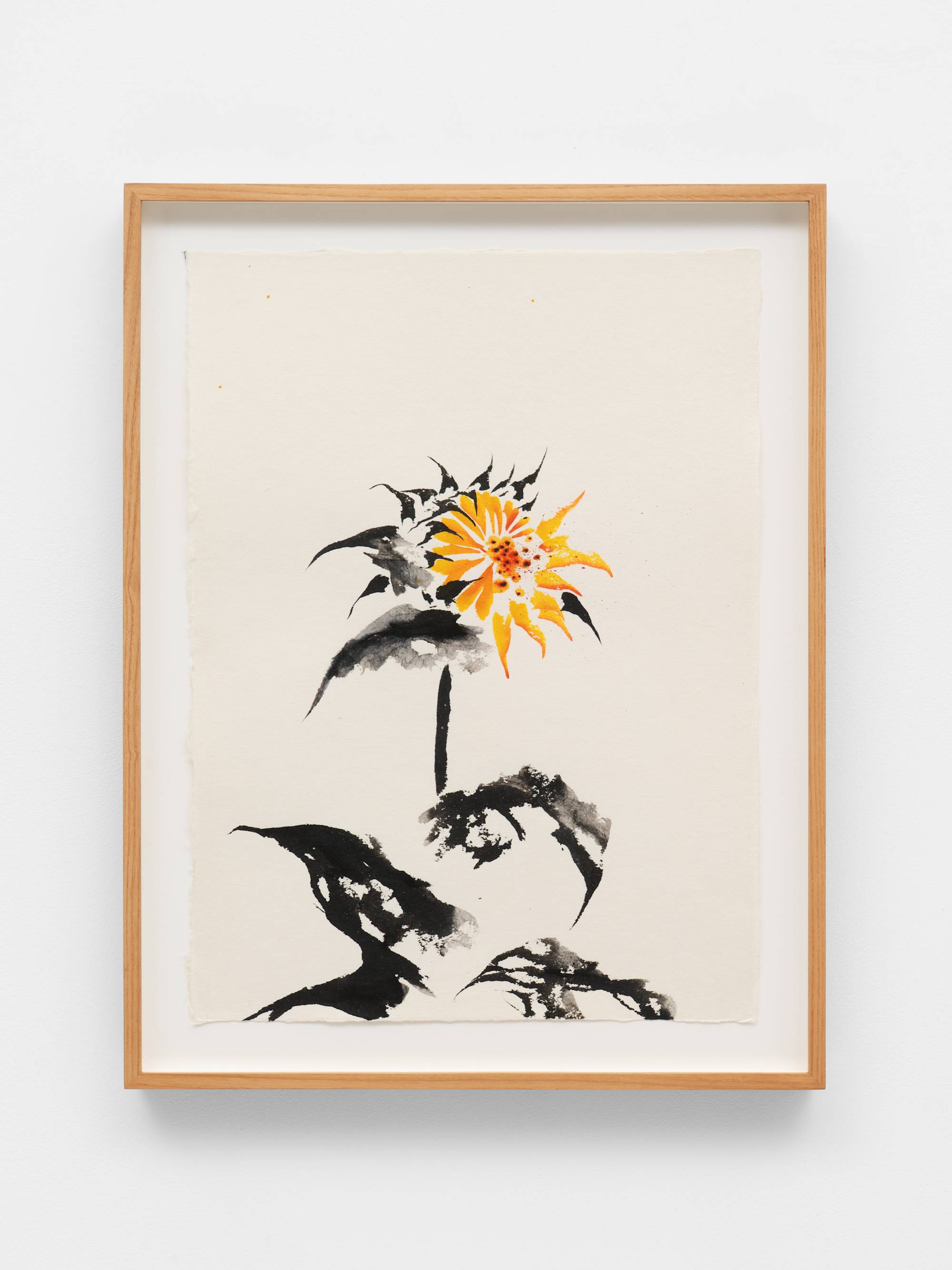 An ink painting on white paper of an orange sunflower with black leaves and stem. The flower is centered in the composition but the negative white space of the paper is also prominent. The frame and the wall the work is mounted on is visible in the shot.