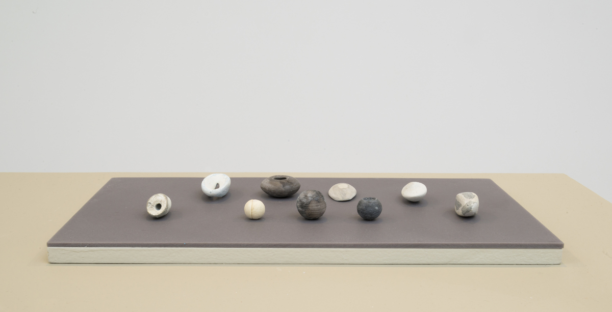Numerous miniature sculptures resembling organic matter resting on top of a dark gray-tinted plinth on top of a tan table. A white wall is partially in view. 