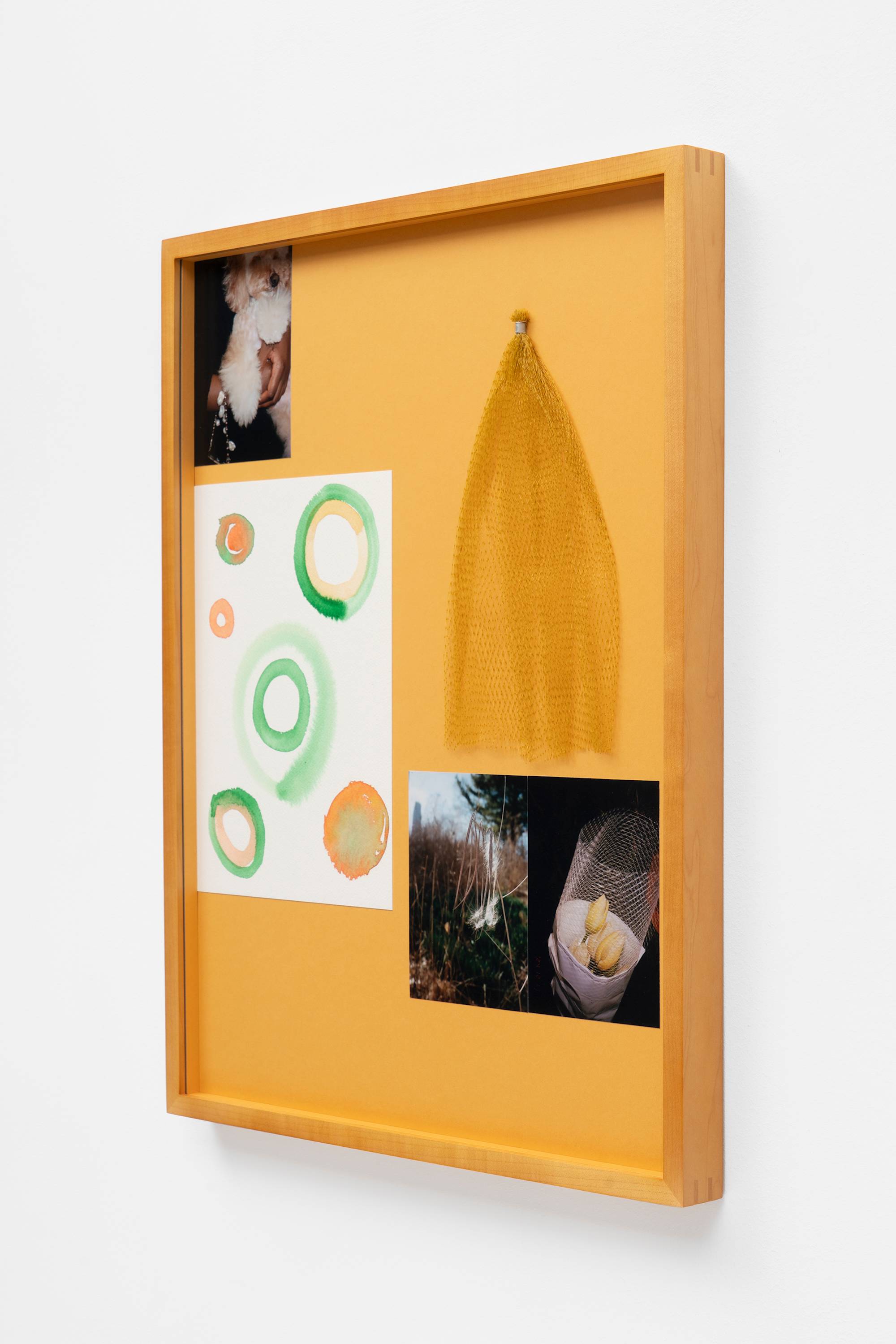 In a wood frame, a series of photographs and mementos are arranged together, shot from the side.