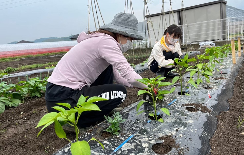 農業0715写真⑦