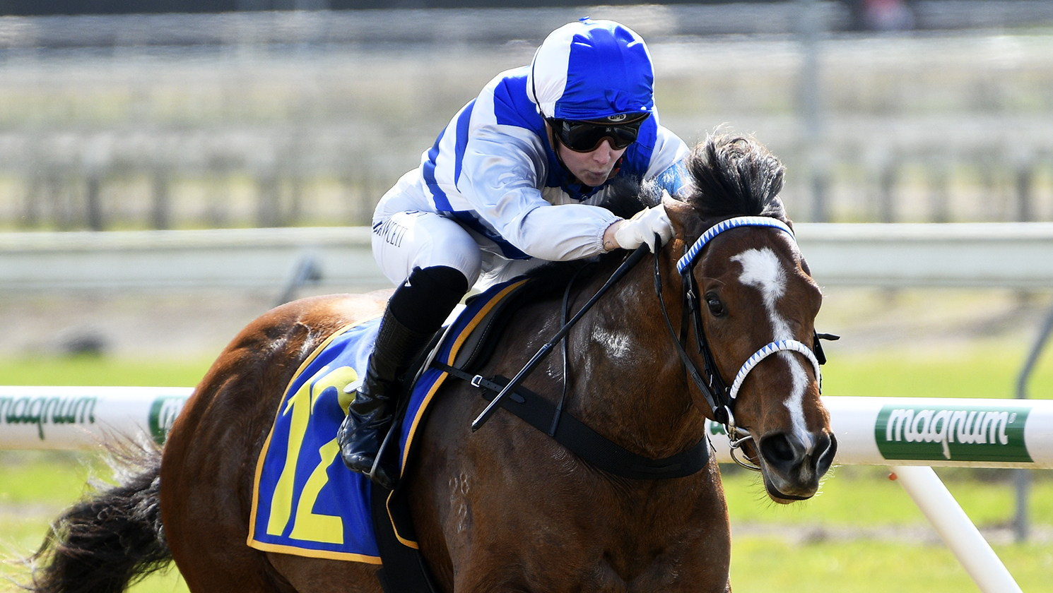 Well-bred filly scores on debut