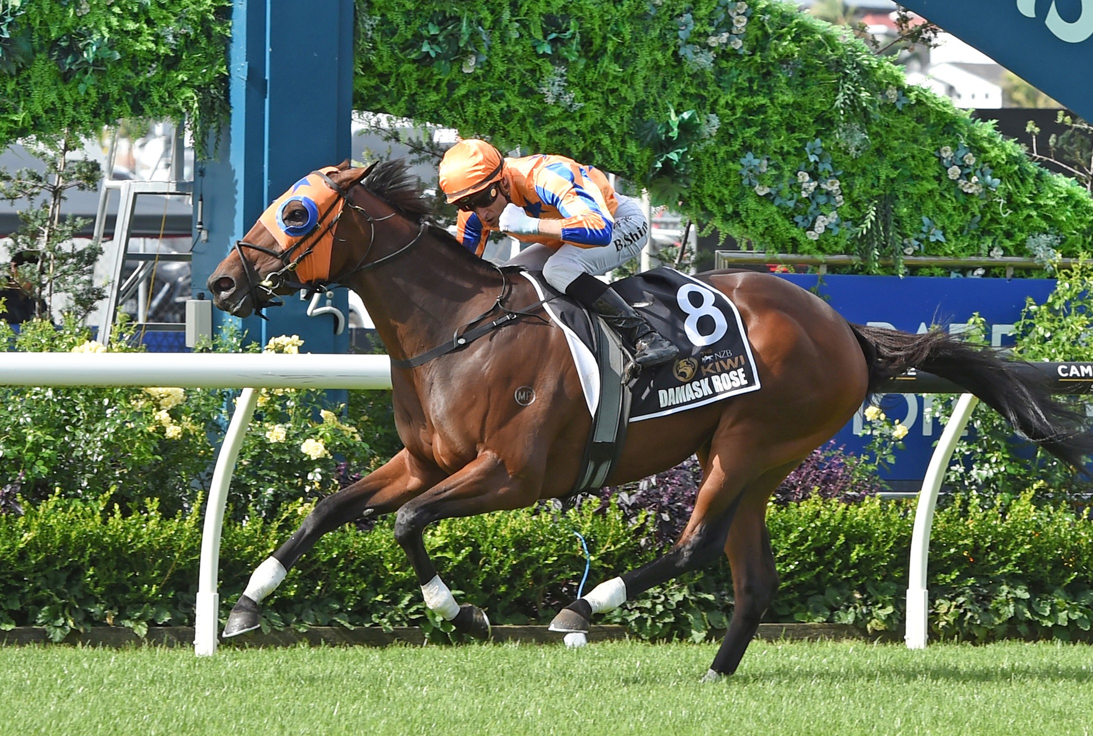 Walker welcomes exciting reinforcements to Cranbourne