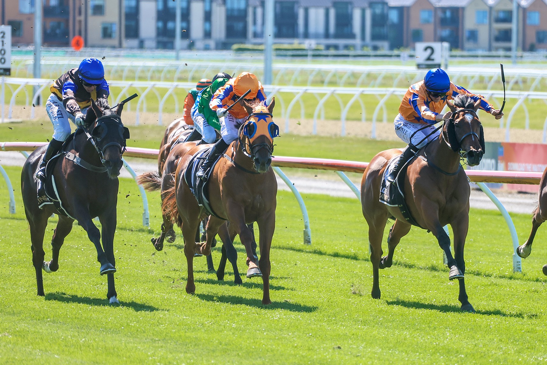 Te Akau strengthens Guineas hand
