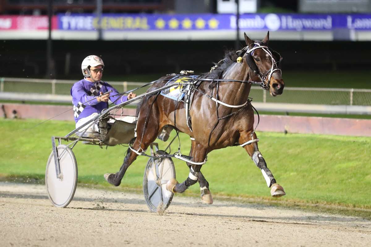 Southern Surge series set to ignite Southland