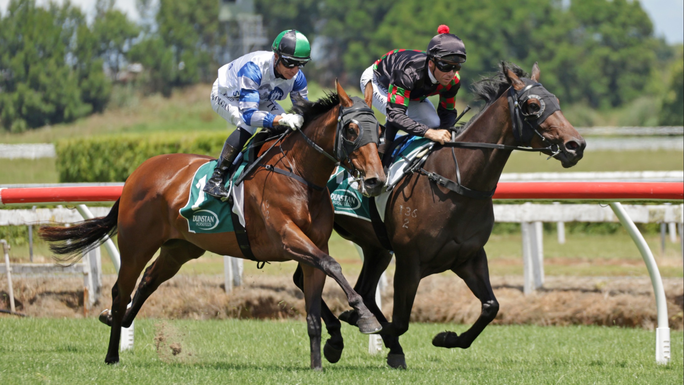 Stablemates primed for Karaka Millions 3YO